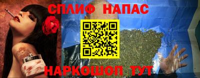 гашик Тара